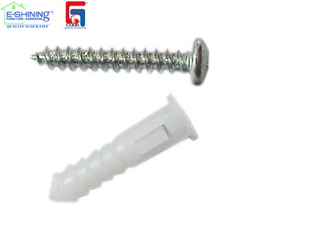 Screw and plastic anchor