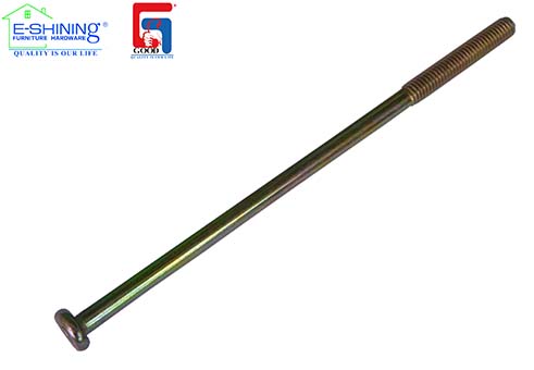 Locking screw/scooter screw