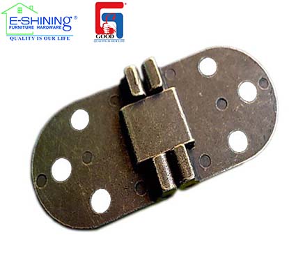 DOOR HINGE